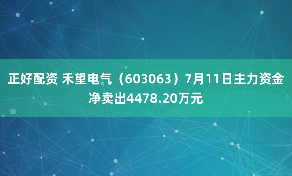 正好配资 禾望电气（603063）7月11日主力资金净卖出4478.20万元