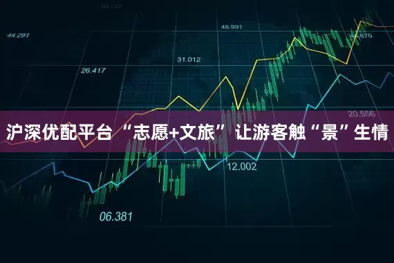 沪深优配平台 “志愿+文旅” 让游客触“景”生情