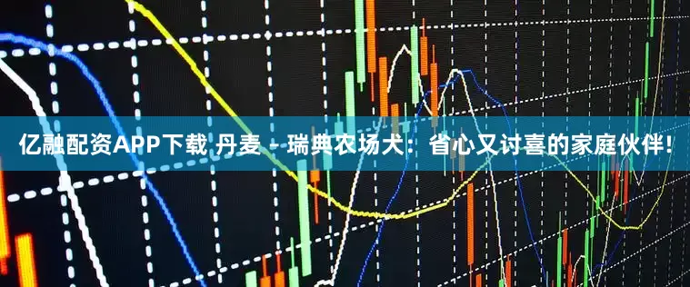 亿融配资APP下载 丹麦 – 瑞典农场犬：省心又讨喜的家庭伙伴!