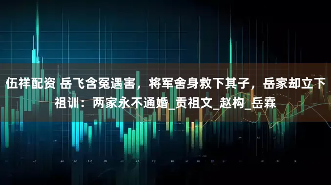 伍祥配资 岳飞含冤遇害，将军舍身救下其子，岳家却立下祖训：两家永不通婚_贡祖文_赵构_岳霖